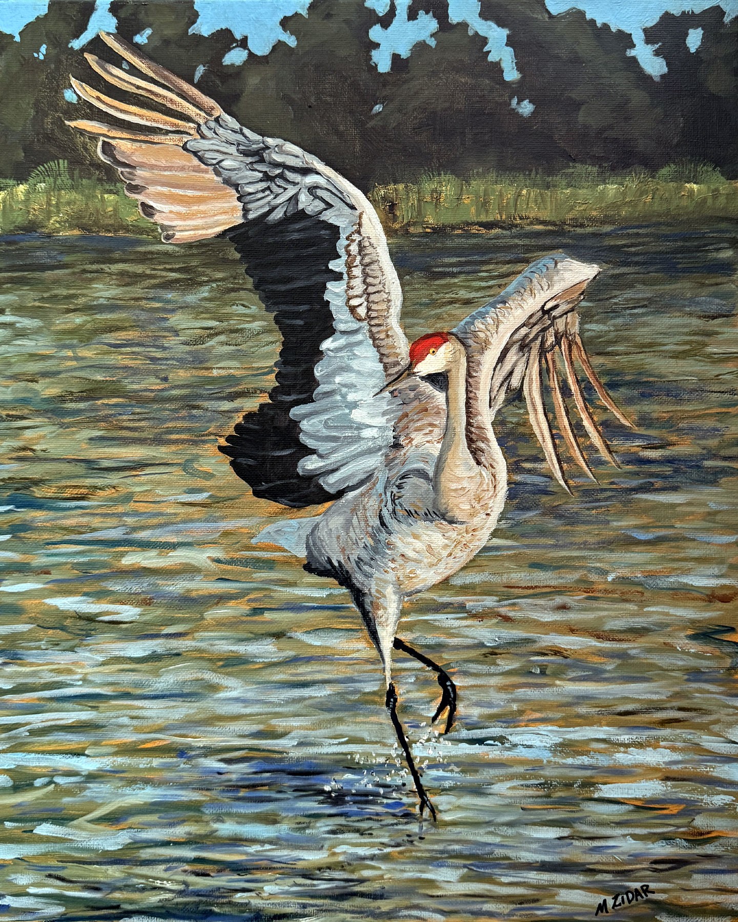 Sand Hill Crane Grace
