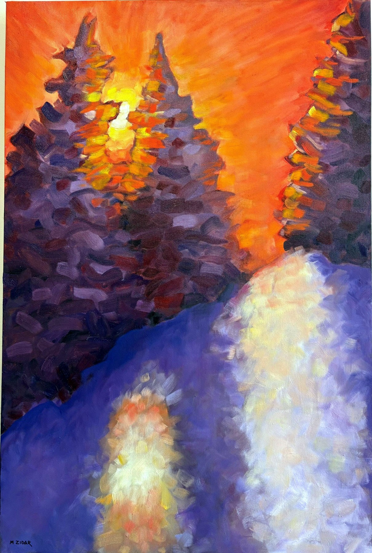 Winter Light,  Pine and Snow