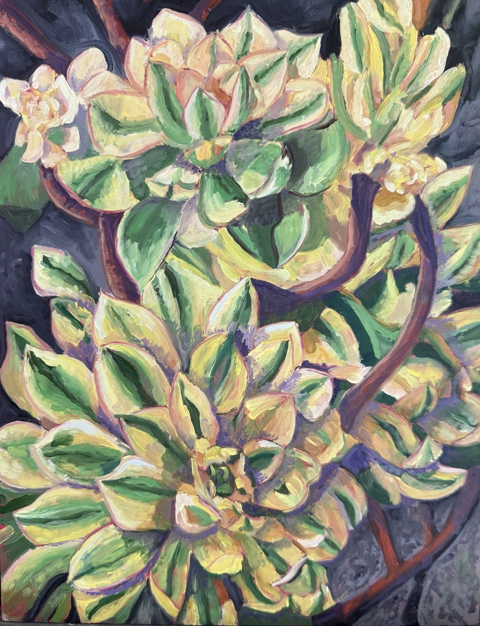 Succulant in Yellow Garb