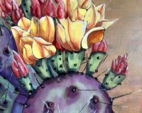 Desert Blooms in Yellow and Peach