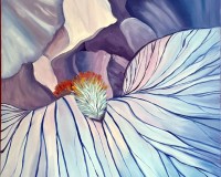 Iris with the Blues