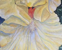 Yellow Iris Interpretation